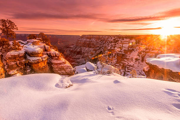 istock Grand canyon in the winter 508070374