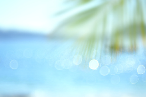 Blur palm leaf on tropical bokeh wave beach abstract background.Travel concept.