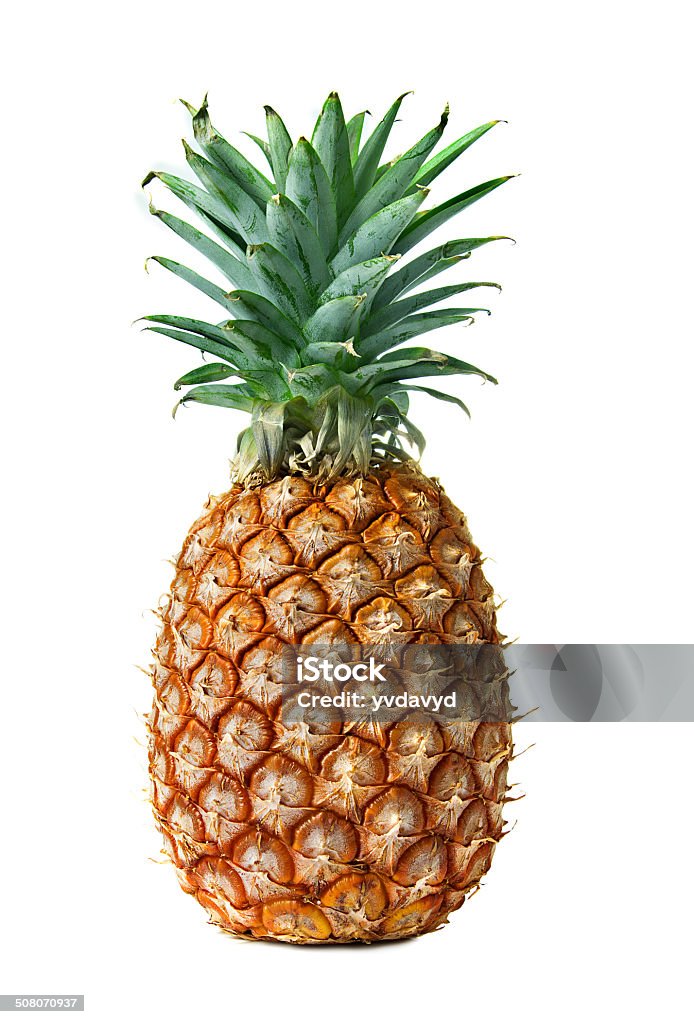 Pineapple Isolated On White Background Stock Photo - Download Image Now -  Pineapple, Citrus Fruit, Close-up - iStock