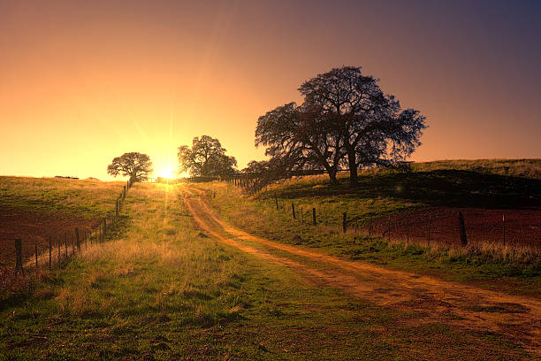 Manhã cedo Estrada em Terra Batida - fotografia de stock