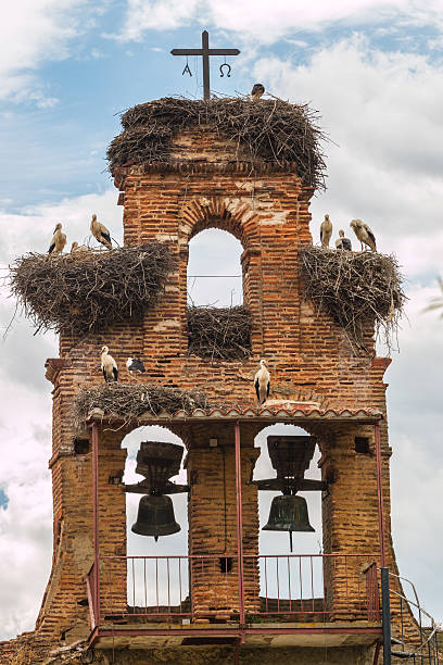 istock Old bell gable invaded by stork nestes 508073519