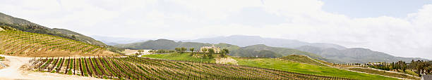 istock Panorama of Temaluca Valley Wainery 508073541