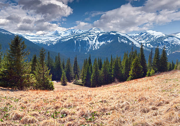 istock Beautiful spring landscape in the mountains 508075325