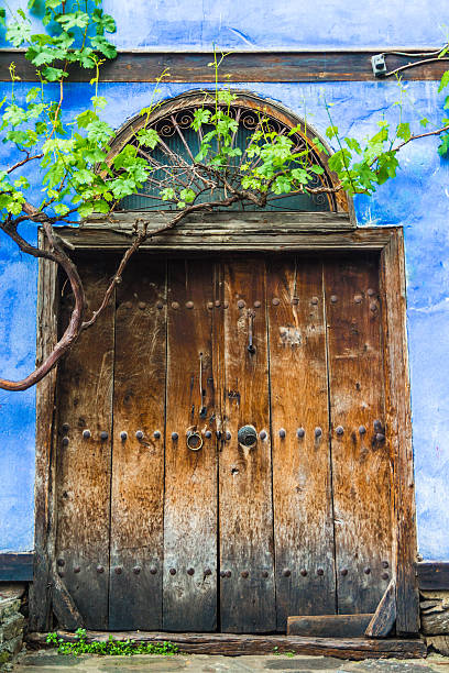 istock Ivy covered wooden doorway 508075631