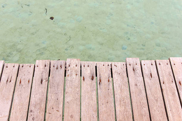 istock The bridge wood and beach 508077137
