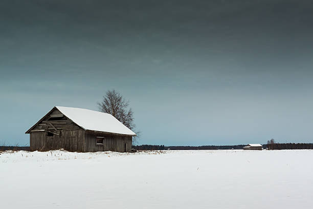 белый снег в темное небо - winter finland agriculture barn стоковые фото и изображения