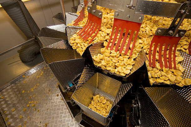 istock Tortellini Pasta production line 508090018