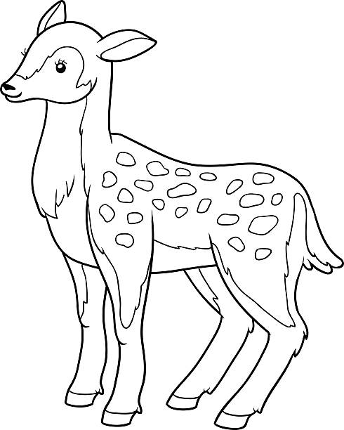お子様には、ぬりえご予約（deer 、doe - stag deer doe cartoon点のイラスト素材／クリップアート素材／マンガ素材／アイコン素材