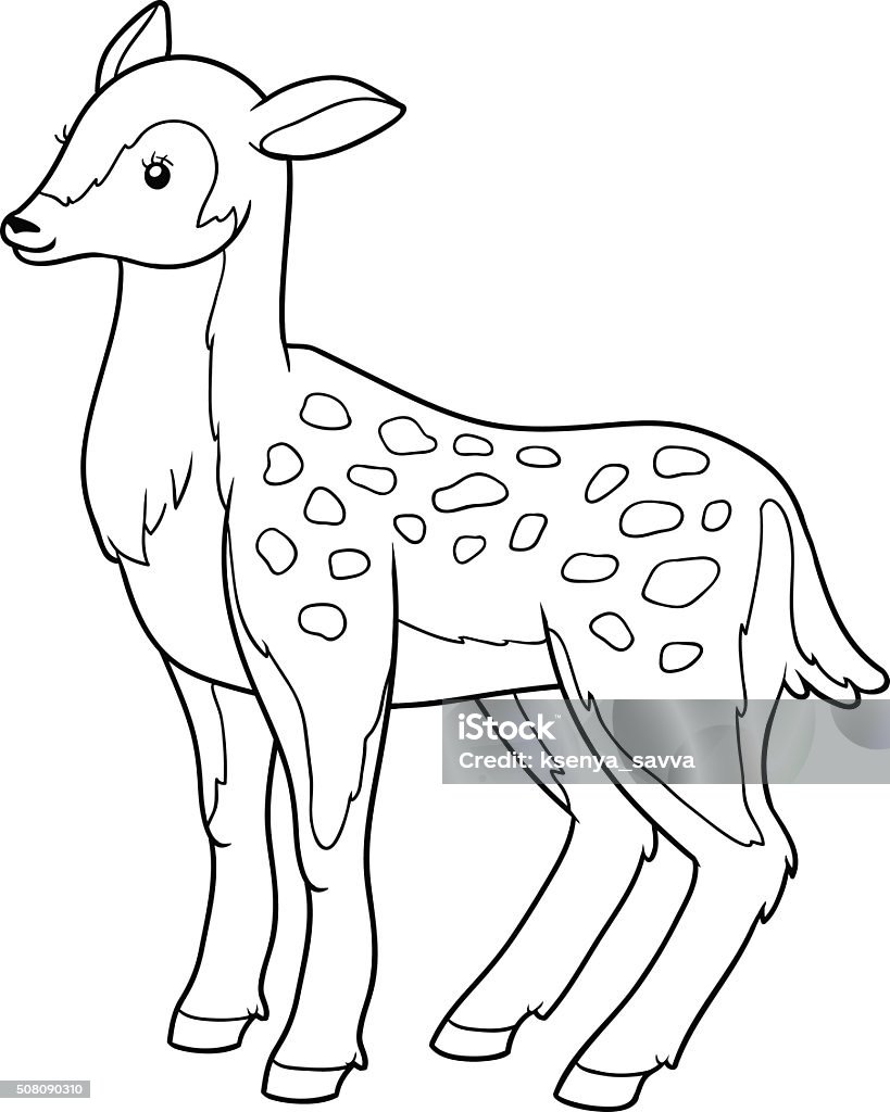 Coloring book for children (deer, doe) Coloring book, education game for children (deer, doe) Activity stock vector