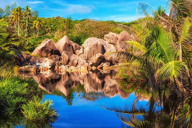 Rocks and palms reflected in tropical lake in jungle, La Digue island in Seychelles