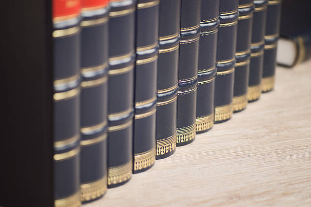 istock Row of old leather books on a shelf 508090638