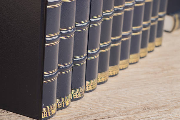 istock Row of old leather books on a shelf 508090688