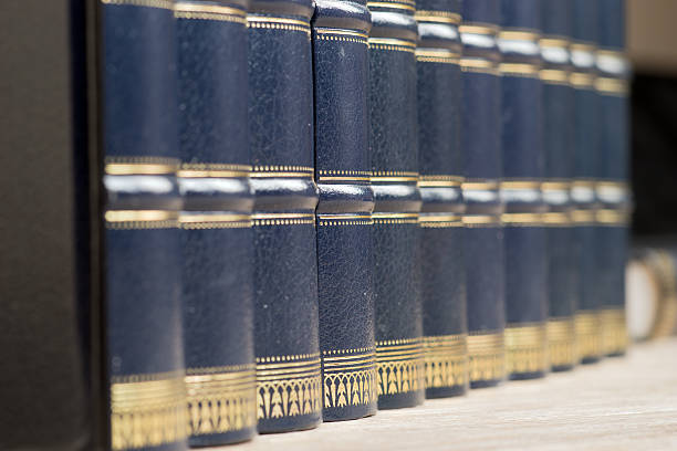 istock Row of old leather books on a shelf 508090754