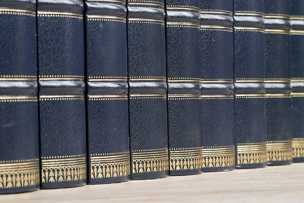 istock Row of old leather books on a shelf 508090892