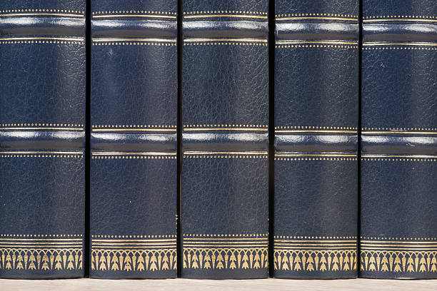 istock Row of old leather books on a shelf 508090980