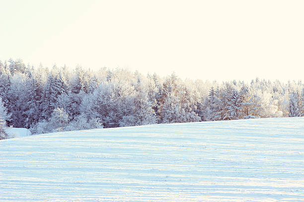 istock Winter. Beautiful winter landscape with snow covered trees 508091588