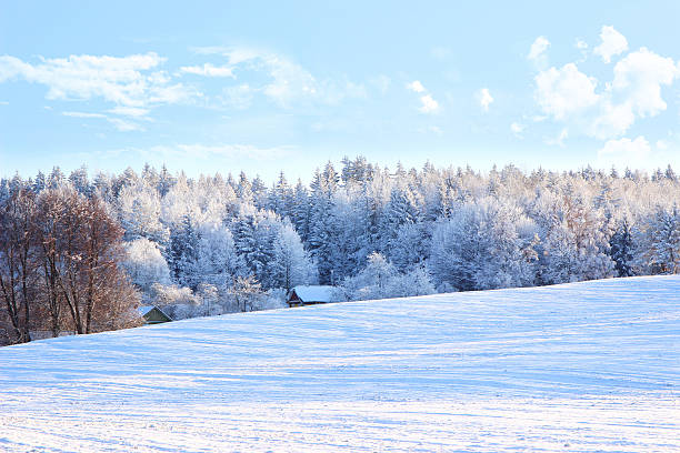 istock Winter. Beautiful winter landscape with snow covered trees 508091736