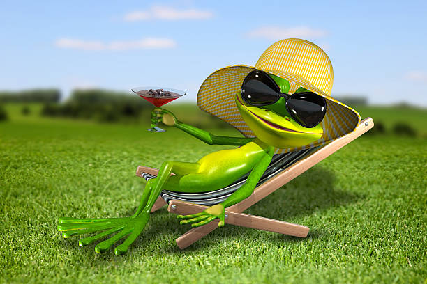 istock Frog in a deck chair on the grass 508091844