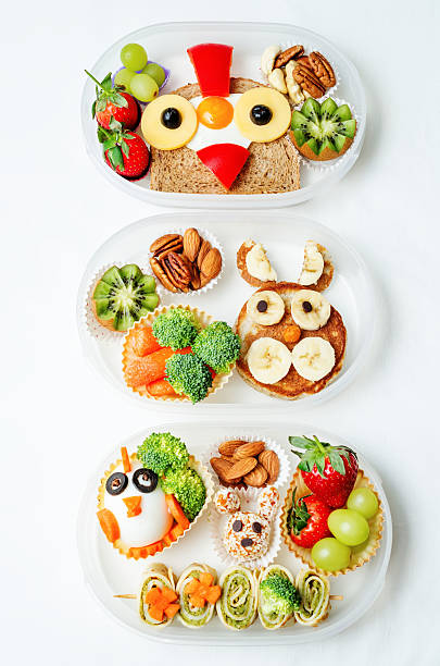 istock school lunch box for kids with food 508091982