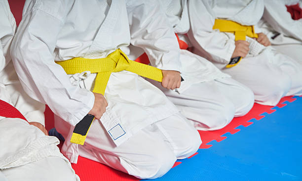 istock sport karate kids 508092370