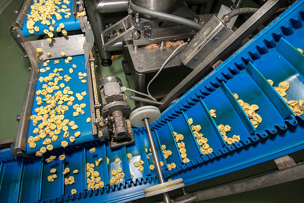istock Tortellini Pasta production line 508092528