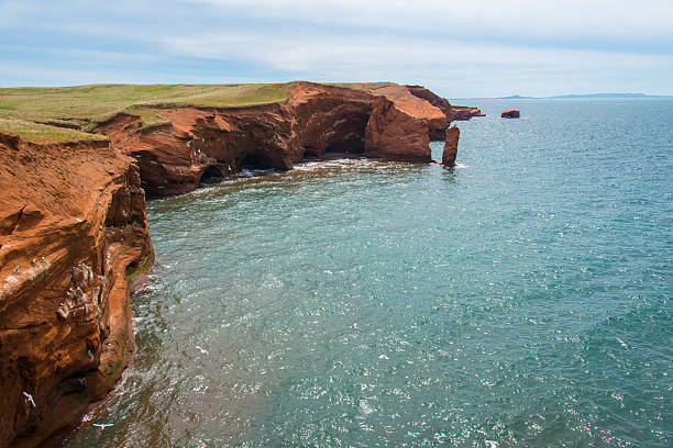 istock Red cliff facing the Atlantic Ocean in Canada. 508093053