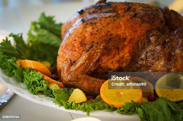 Turkey With Leaves And Oranges For Christmas And Thanksgiving Stock Photo - Download Image Now