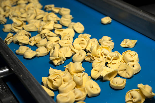 istock Tortellini Pasta production line 508095952