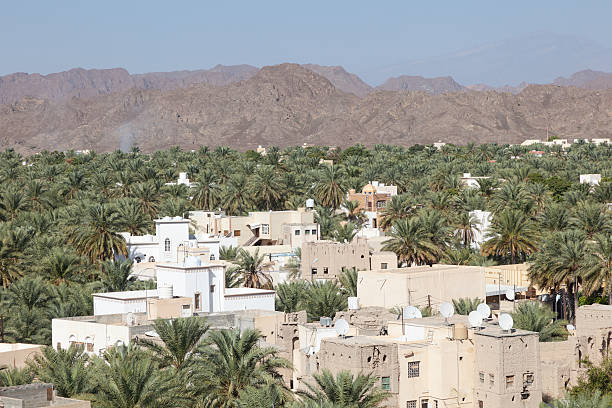 istock View over the Nizwa town oasis, Oman 508096236