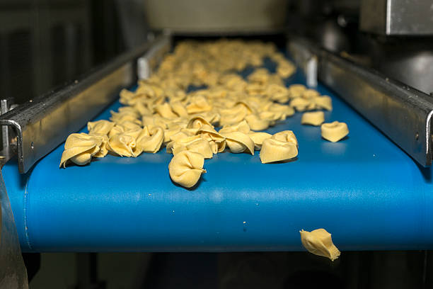 istock Tortellini Pasta production line 508096956