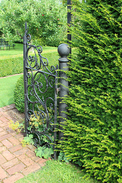 istock Formal garden, brick paved path, ornate iron gate, yew hedge 508097015