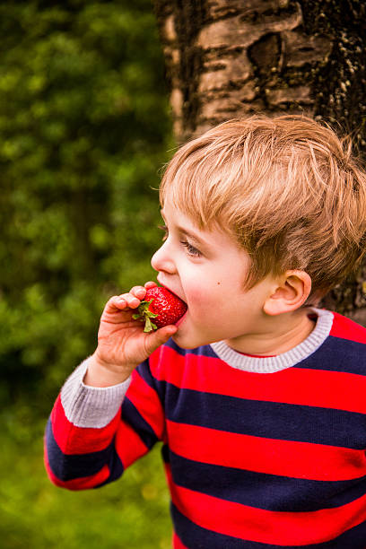istock Young Boy Eating Strawberry 508097205