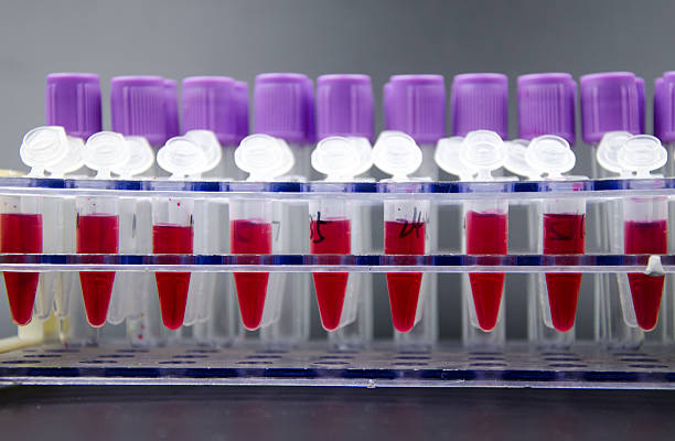 istock Blood collection tube 508097465