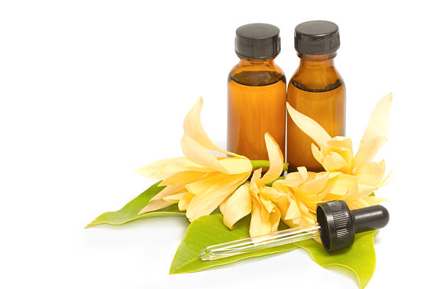 istock Essential aroma oil with champaka flower 508098585