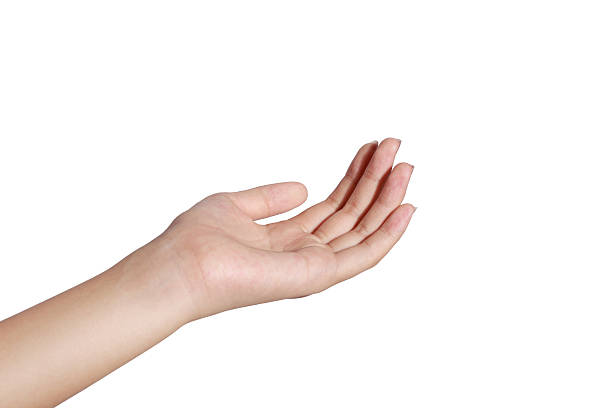 istock Female hands , Isolated on white. 508098895