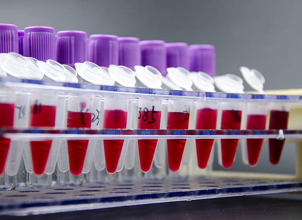 istock Blood collection tube 508099035