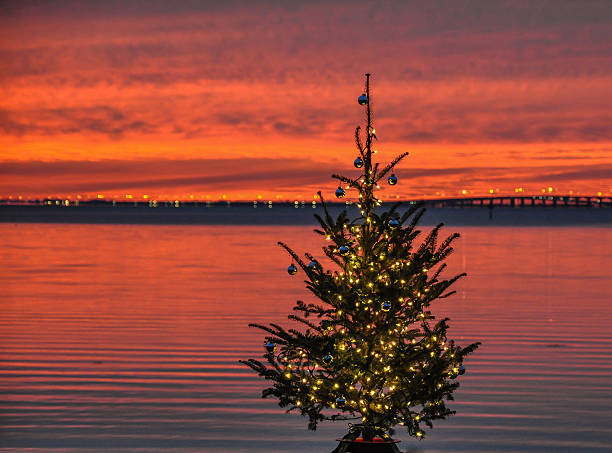 Florida Christmas This is an image of a Christmas tree on a Florida dock with the sunset in the background. florida christmas stock pictures, royalty-free photos & images