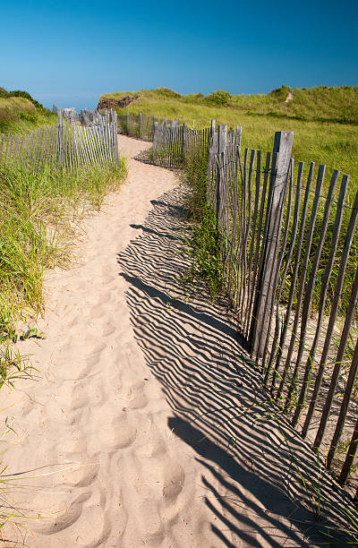 istock Path to Crescent Beach at Block Island, Rhode Island 508099937