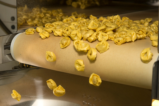 Tortellini Pasta on conveyor belt