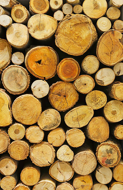 istock stack of round cutted firewood pieces as background texture 508100243