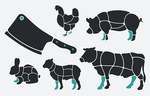 Animal parts Animal parts as they are being processed in butcher's shops. pork loin stock illustrations
