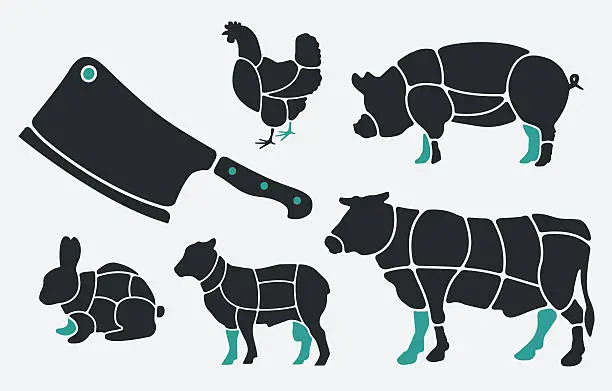Vector illustration of Animal parts