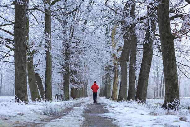 inverno a piedi - snow loneliness tree remote foto e immagini stock