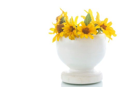 bouquet of yellow  daisies on a white background