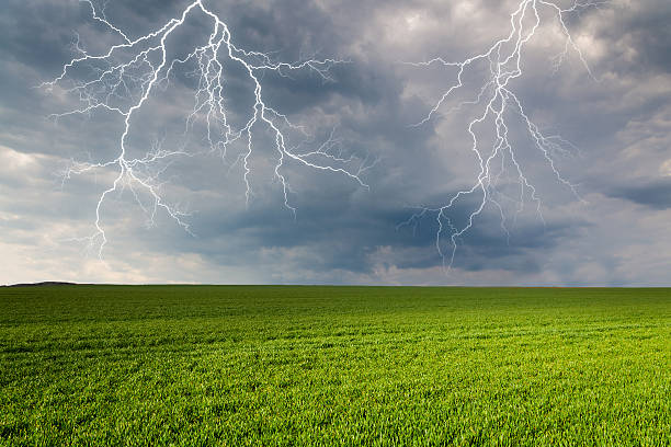 orage avec éclairs dans green meadow - dazzle photos et images de collection