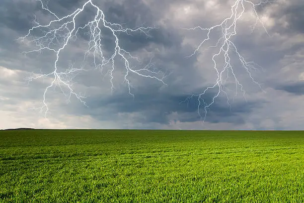 Thunderstorm with lightning in green meadow