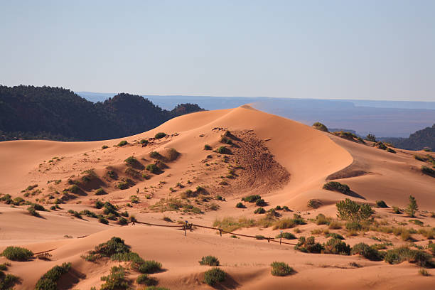 istock Elegant orange-pink dune, illuminated by sunrise 508121147