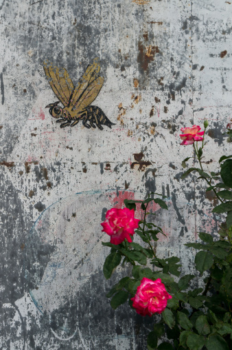 A grafitti bee on the wall nearby roses. Taken in Sapporo, Japan.