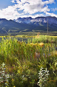 das-reservat-von-northern-kanada.jpg?b=1&s=170x170&k=20&c=P49oA5jvmMHTx79uZfL-TcLvQpp-pNbzY4Dv56KeLLo=