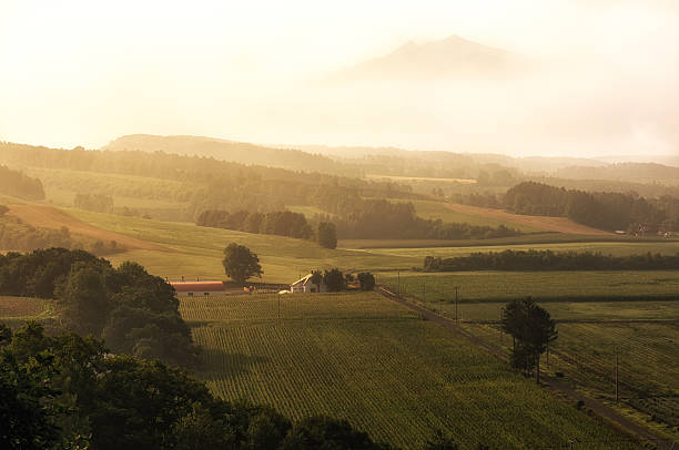 istock View of the farm 508123033